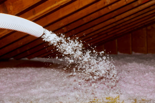 Best DIY Insulation Kits and Guidance in Thousand Oaks, CA