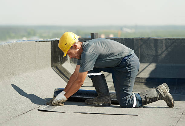 Best Eco-Friendly Insulation in Thousand Oaks, CA
